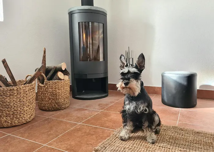 Ferienhaus Amber's Place: Cosy House With Pool And Sea Views