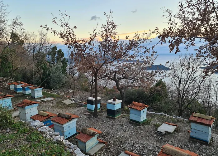 Amber's Place: Cosy House With Pool And Sea Views * Dubravica (Dubrovnik)